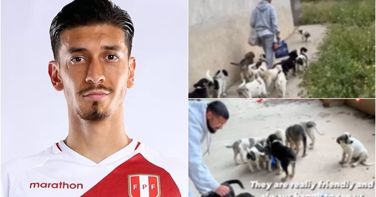 Jean Pierre Rhyner ayuda a perros abandonados en un estadio en Grecia