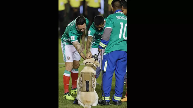 Video: Selecci&oacute;n Mexicana.