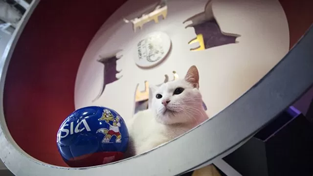 Video: Cortes&iacute;a Ruptly