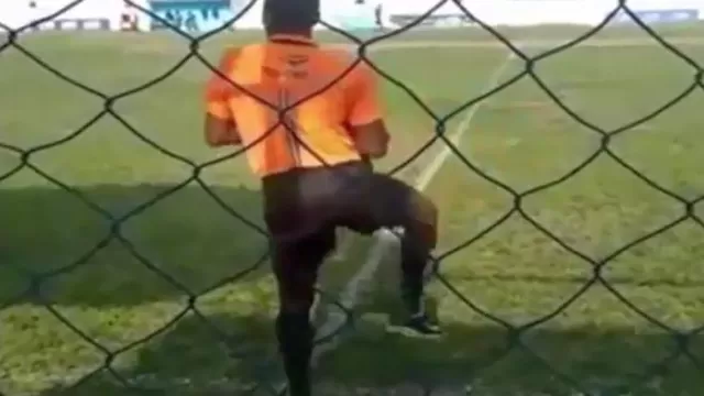 Brasil: juez de línea se divierte bailando al ritmo de la hinchada