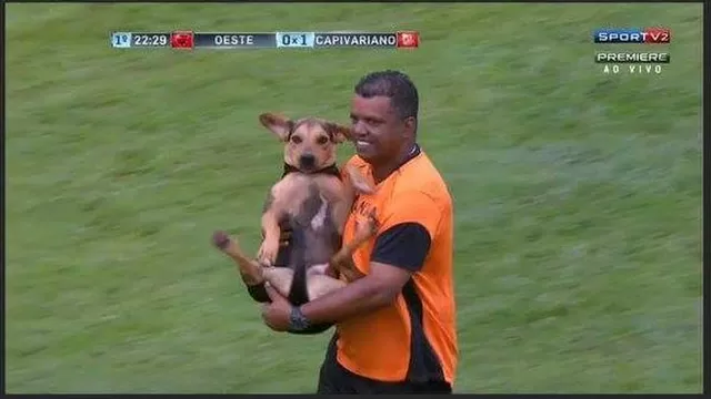 Brasil: perro invadió campo de juego y los futbolistas reaccionaron así