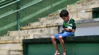 Chapecoense: la imagen del pequeño hincha que da la vuelta al mundo