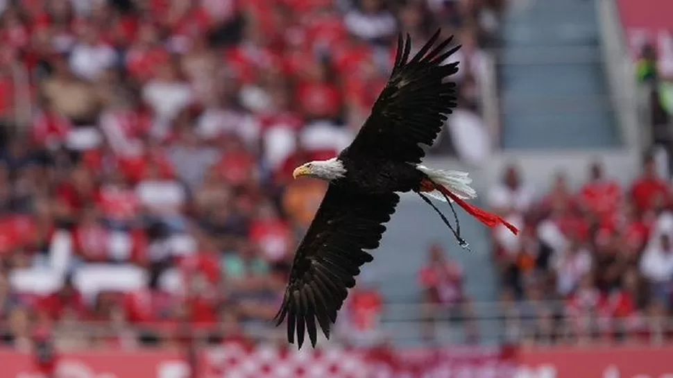 América deportes