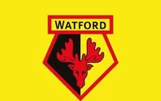 Coronavirus: Watford en contra del plan de reinicio de la Premier League - Noticias de watford