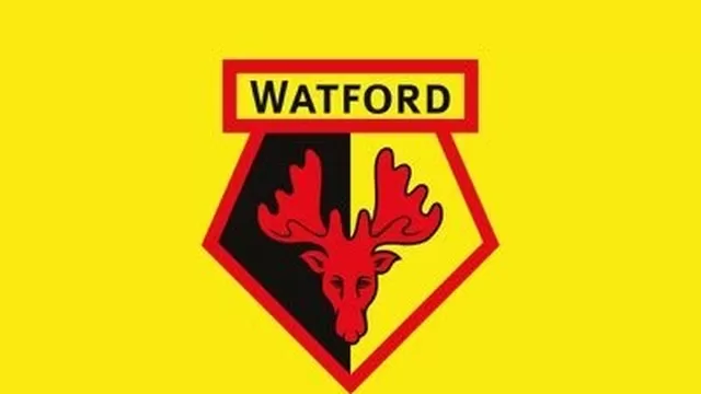 El Watford se une así a clubes como el Brighton and Hove y el Aston Villa. | Foto: Watford.