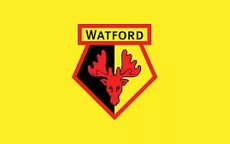 COVID-19: Watford separó a tres de sus jugadores por no respetar la distancia social - Noticias de watford
