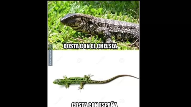 Fecha FIFA: los mejores memes que dejaron los duelos de selecciones-foto-6