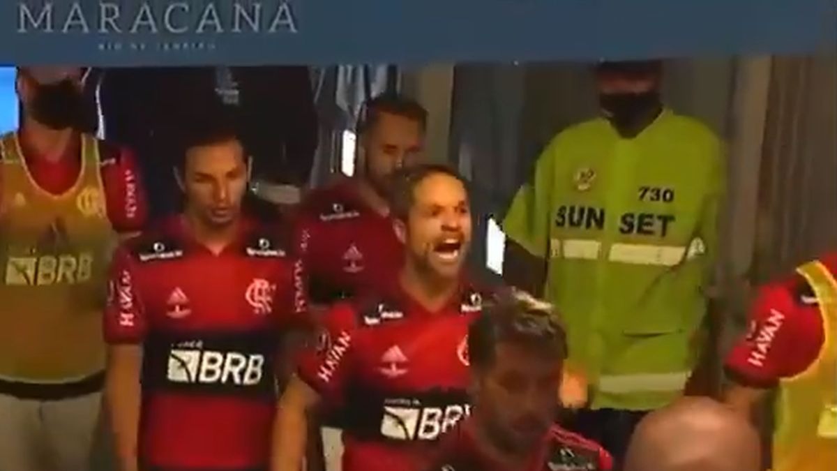 Diego estaba furioso en el Flamengo vs. Fluminense. | Video: Twitter