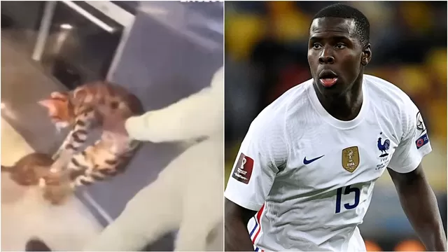 Kurt Zouma, jugador del West Ham, filmado mientras golpea brutalmente a su gato