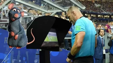 Unos inesperados visitantes arruinaron el VAR en la Ligue 1 | Foto: medios Unos inesperados visitantes arruinaron el VAR en la Ligue 1 | Foto: medios