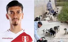 Jean Pierre Rhyner ayuda a perros abandonados en un estadio en Grecia - Noticias de grecia