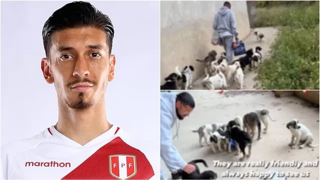 Jean Pierre Rhyner ayuda a perros abandonados en un estadio en Grecia