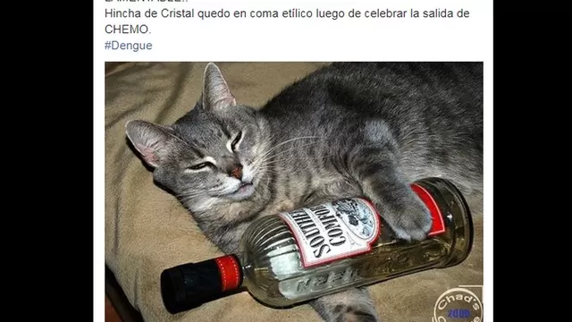Cristal: José del Solar protagonizó memes tras confirmarse su salida-foto-1