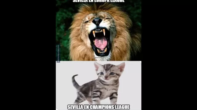 Leicester 2-0 Sevilla: estos memes dejó la clasificación de los &#39;Foxes&#39;-foto-8