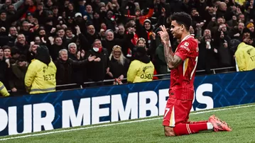 Liverpool goleó 6-3 al Tottenham por la Premier League