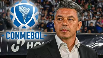 Marcelo Gallardo tendría todo cerrado para dirigir a selección Conmebol: "Acuerdo total"