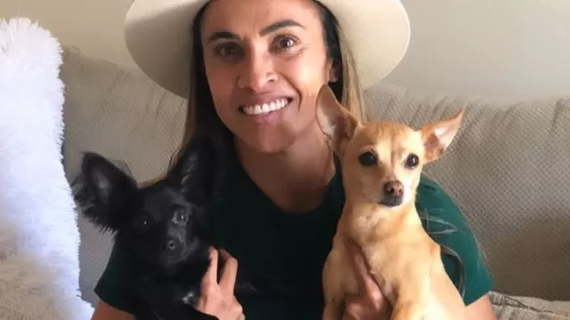 Marta creará albergue para animales abandonados en su ciudad natal