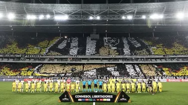 El encuentro entre ambos equipos se disputó en el estadio monumental Nilton Santos / Foto:Botafogo