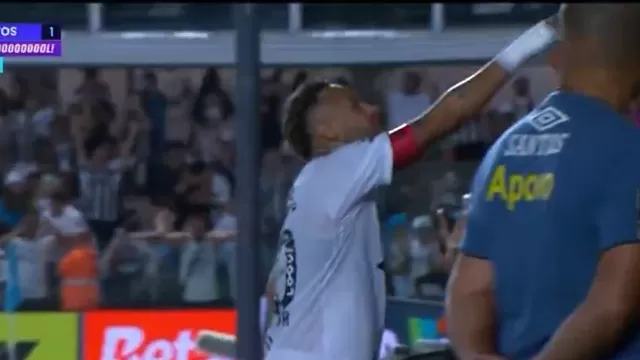 Neymar anotó un gran gol y viene ayudando a Santos en su lucha por la permanenia en el Brasileirao / SportTV Brasil