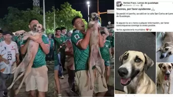 Perrita estaba perdida pero su dueña la encontró por un video del mundial