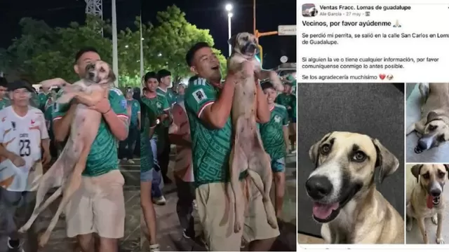 Perrita estaba perdida pero su dueña la encontró en las celebraciones de México por el mundial. Foto: Captura / Video: @tudimebeto
