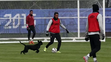 Un juguet&amp;oacute;n perro se meti&amp;oacute; a la pr&amp;aacute;ctica de la selecci&amp;oacute;n peruana (Foto: @FerSangama)