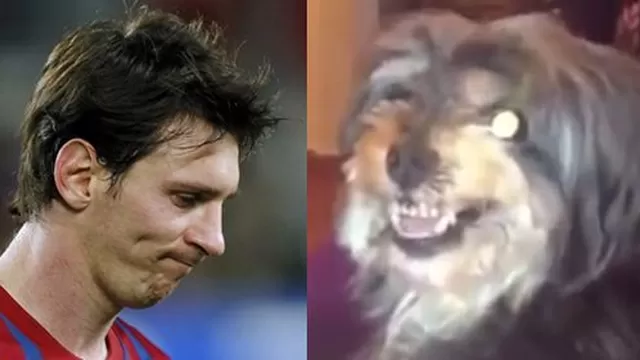 El Perro que odia a Messi y ama a Cristiano causa furor