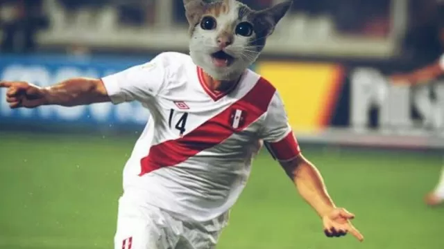 Memes del Perú vs. Venezuela por la Copa América 2015 (Internet)-foto-2