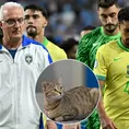 ¿Por qué un gato sería responsable de la eliminación de Brasil en la Copa América?