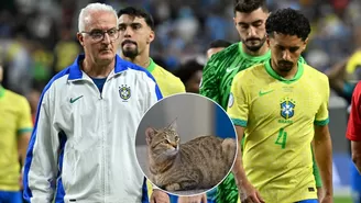 ¿Por qué un gato sería responsable de la eliminación de Brasil en la Copa América?