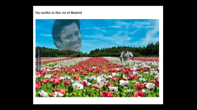 Los memes del Triunfo del Real Madrid sobre Real Valladolid.-foto-1