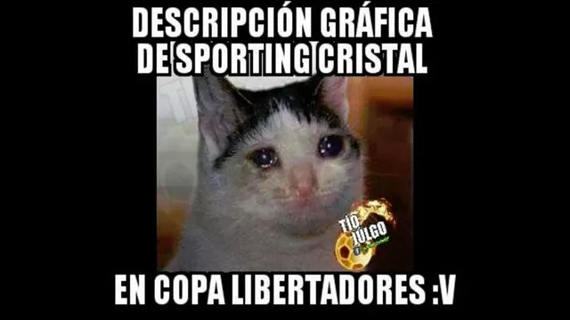 Sporting Cristal empató en la Copa Libertadores y protagonizó memes-foto-9