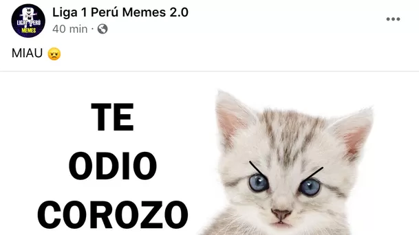 Sporting Cristal protagonizó memes.