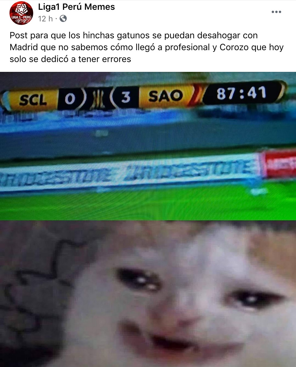 Sporting Cristal protagonizó memes tras caer en Copa Libertadores.