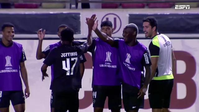 Jeffinho abrió el marcador para Botafogo a los 77 minutos del partido en el coloso crema. | Video: ESPN