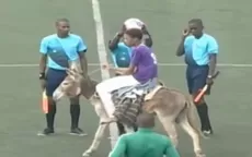 Viral: Burrito llevó la pelota en la final del fútbol de Cabo Verde - Noticias de viral