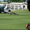 YouTube: Cocodrilo sorprendió a los jugadores del Toronto FC en la práctica