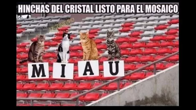 Alianza Lima vs. Sporting Cristal: memes invaden Facebook en la previa del duelo-foto-2