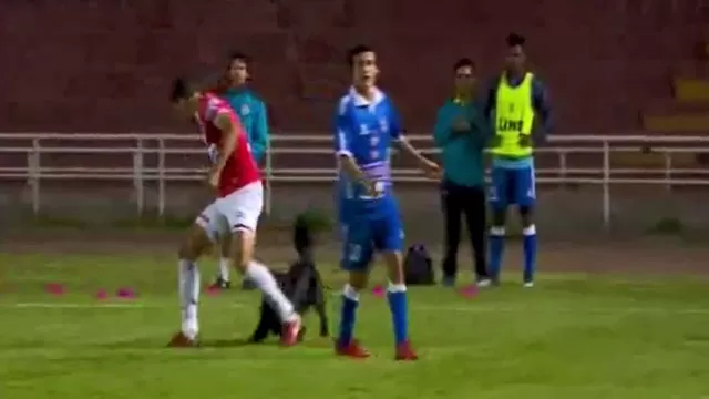 Video: Cortes&iacute;a Gol Per&uacute;