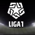 Liga 1: ¿Un nuevo equipo se suma al campeonato 2025?