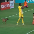 Perrito ingresó sorpresivamente en el empate 0-0 entre Alianza Lima vs César Vallejo