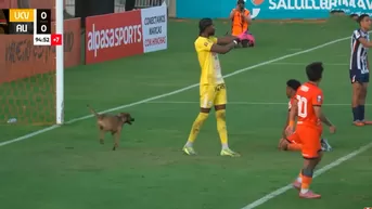 Perrito ingresó sorpresivamente en el empate 0-0 entre Alianza Lima vs César Vallejo