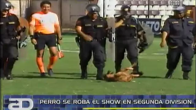 Un perro se robó el show en la Segunda División