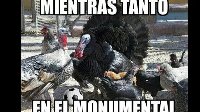 Internet-foto-2
