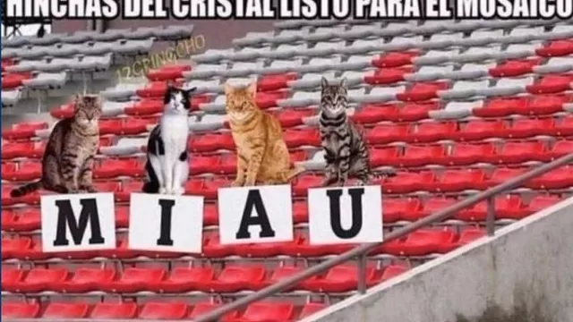 Sporting Cristal vs. Alianza Lima: memes calientan la previa del partido-foto-8