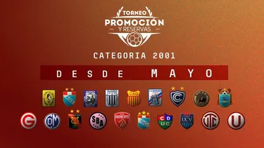 Un total de 19 clubes participarán en el Torneo de Promoción y Reservas. | Foto: FPF Un total de 19 clubes participarán en el Torneo de Promoción y Reservas. | Foto: FPF