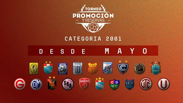 Un total de 19 clubes participarán en el Torneo de Promoción y Reservas. | Foto: FPF