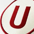 Universitario: Estos cinco jugadores no continuarán en el club crema