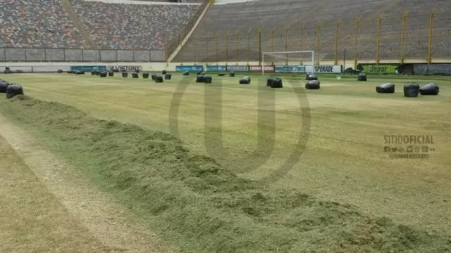 Fotos: Universitario-foto-4