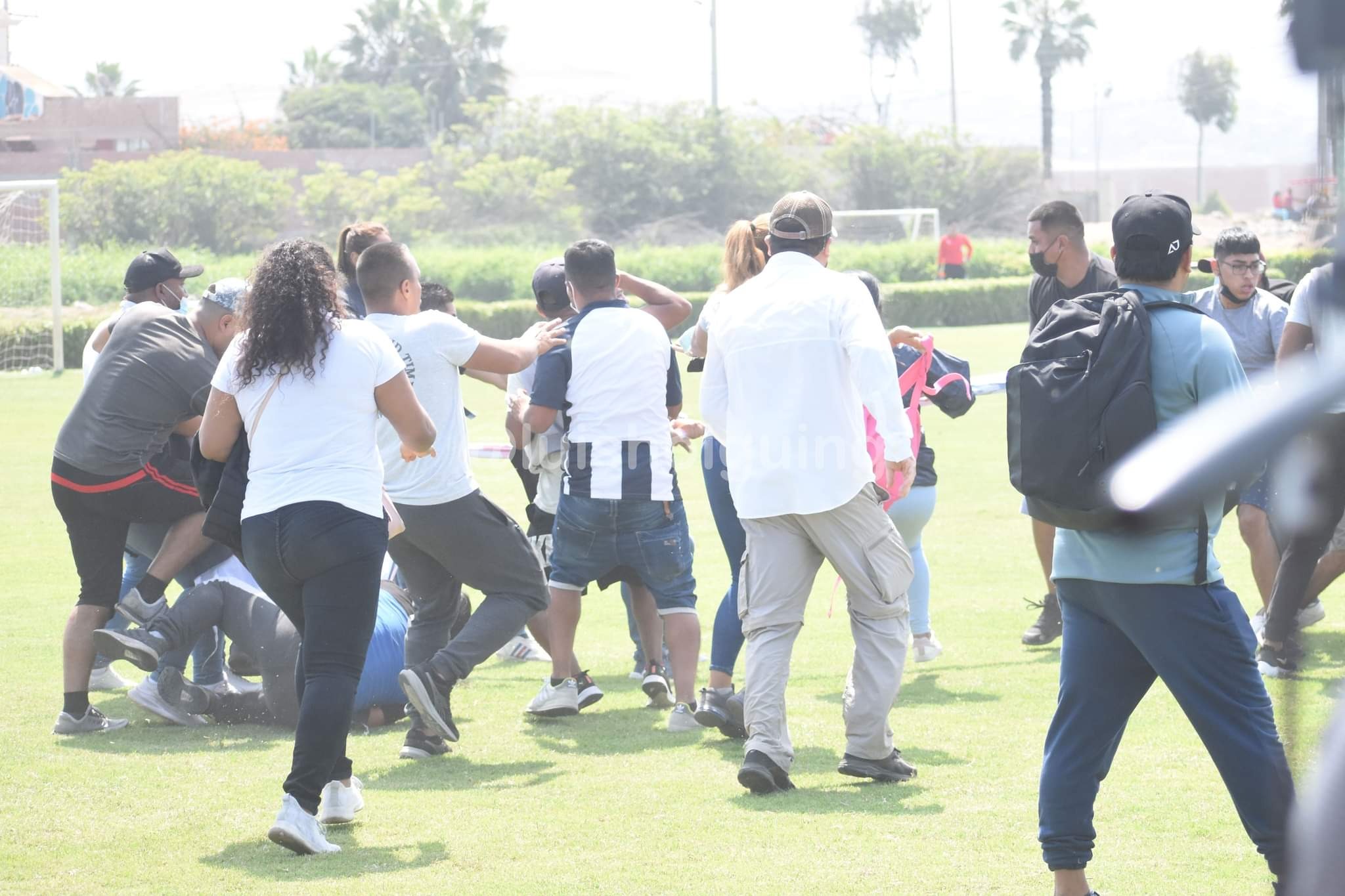 Photo: Luis Holguín